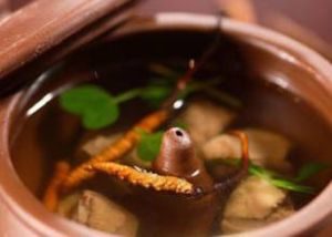 海馬仔雞 海馬仔雞