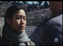 南京大屠殺[1996年劉若英主演電影]