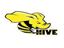 hive[Windows註冊表HIVE檔案]