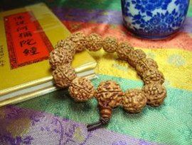 金剛菩提子 金剛菩提子