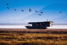 國際濕地公園-升金湖