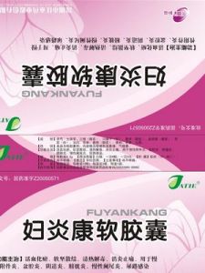 婦炎康軟膠囊 婦炎康軟膠囊
