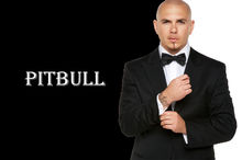 Pitbull