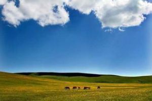 這片草原 這片草原