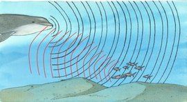 回音[名詞解釋]