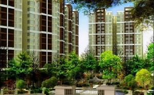 江青龍灣外景圖