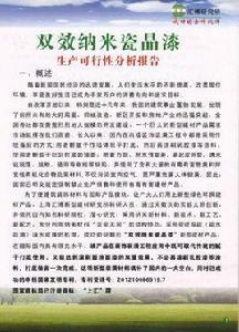 雙效納米瓷晶漆 雙效納米瓷晶漆