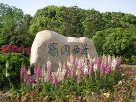 蜀崗西峰 蜀崗西峰