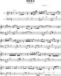 淚的告白 淚的告白