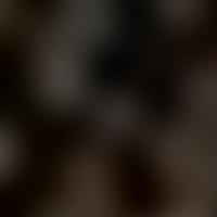 NGC 5169 RASS 彩色圖