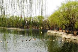 雙月湖公園