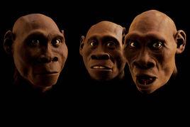 德馬尼西人 德馬尼西人