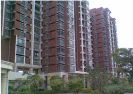 勁嘉龍園印象 勁嘉龍園印象