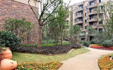 徐州風華園照片