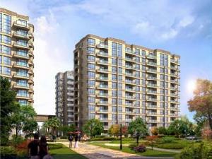 麗晶港灣 麗晶港灣