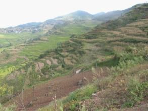 永紅自然村 永紅自然村