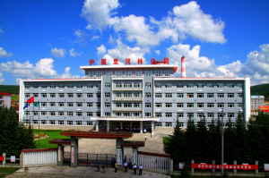 伊圖里河林業局辦公樓