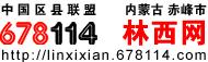 林西網