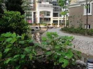 金王府小區 金王府小區