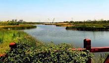 中國灃河&middot;灃濱水鎮