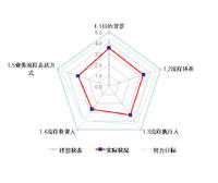 流程成熟度測評雷達圖