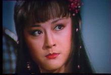 新火燒紅蓮寺[1982年余漢祥執導電影]