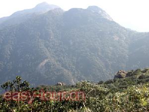 觀音山自然保護區