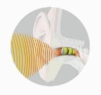 萊瑞克助聽器 萊瑞克助聽器