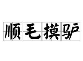 順毛摸驢 順毛摸驢