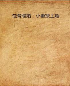 蝕骨暖婚:小妻撩上癮 蝕骨暖婚:小妻撩上癮