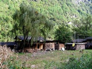 四季桶村 四季桶村