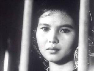 《山區女教師》 《山區女教師》