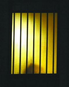 流氓交易員 流氓交易員