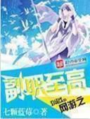 網遊之副職至高 網遊之副職至高