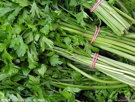 芹菜[傘形科植物]