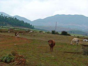 上拖基嘎自然村 上拖基嘎自然村