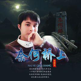 奈何橋上[陳維高演唱的歌曲]