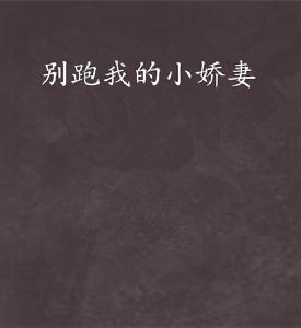 別跑我的小嬌妻 別跑我的小嬌妻