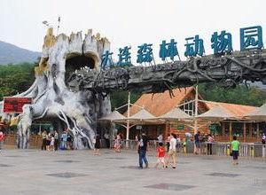 大連森林動物園 大連森林動物園