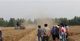 王各莊村[河北省衡水市安平鎮下轄村]