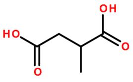 甲基丁二酸