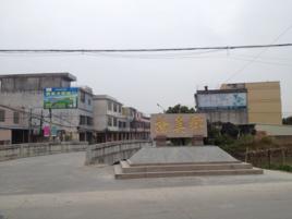 揚美村[廣東揭陽市普寧市南溪鎮下轄村]