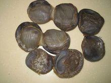 西洋菜煲陳腎湯