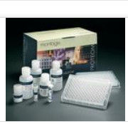 促性腺激素 促性腺激素