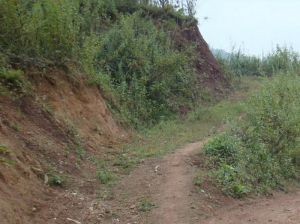 大梘水村 大梘水村