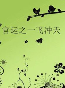 官運之一飛沖天 官運之一飛沖天