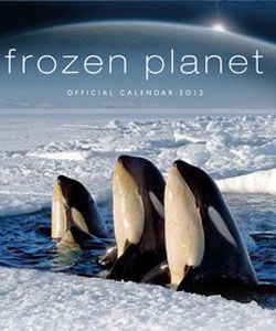 冰凍星球[英國BBC出品紀錄片]