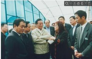 西安東晟農業設施科技發展有限公司 西安東晟農業設施科技發展有限公司