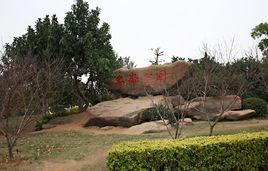 忠侖公園 忠侖公園