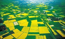 三廟前鄉 三廟前鄉